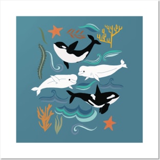 Canadian Whale Watching Posters and Art